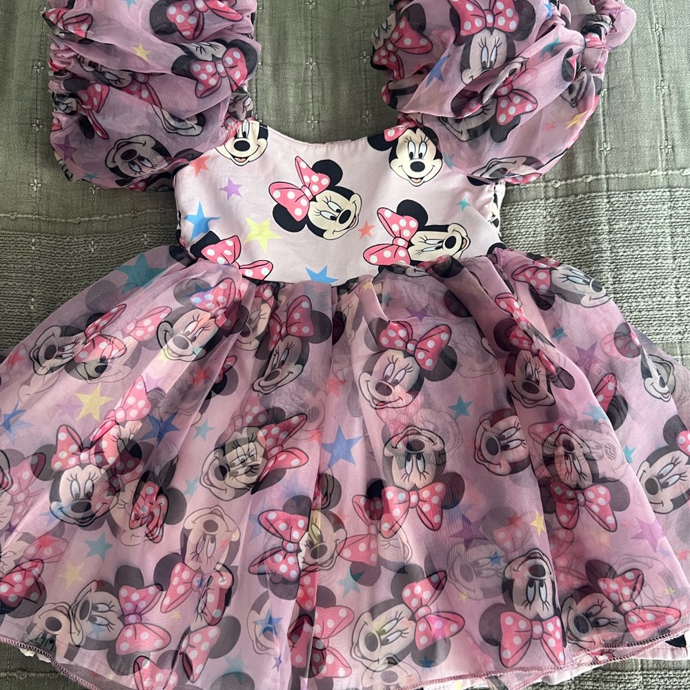 Wild Rich Kids Minnie Mouse Pink Party Dress